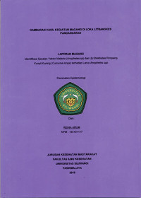 Laporan Magang Identifikasi Spesies Vektor Malaria (Anopheles sp) dan Uji Efektifitas Rimpang Kunyit Kuning (Curcuma longa) terhadap Larva Anopheles spp