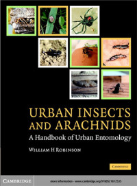 Urban Insects and Arachnids