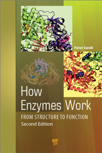 How Enzymes Work From Structure to Function